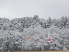 Flags in winter background